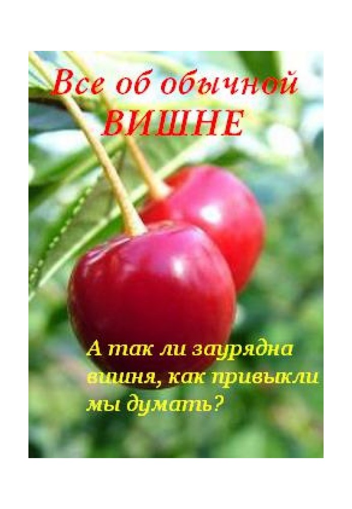 All about ordinary cherries