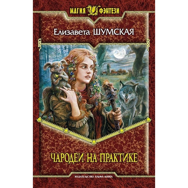 Чародеи на практике