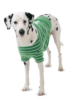 Sporty dog blanket pattern (Burda 2/2015, pattern no. 6753 B)