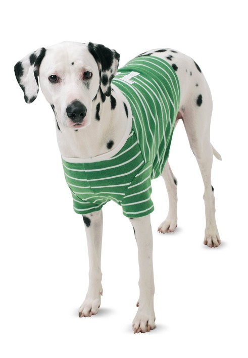 Sporty dog blanket pattern (Burda 2/2015, pattern no. 6753 B)