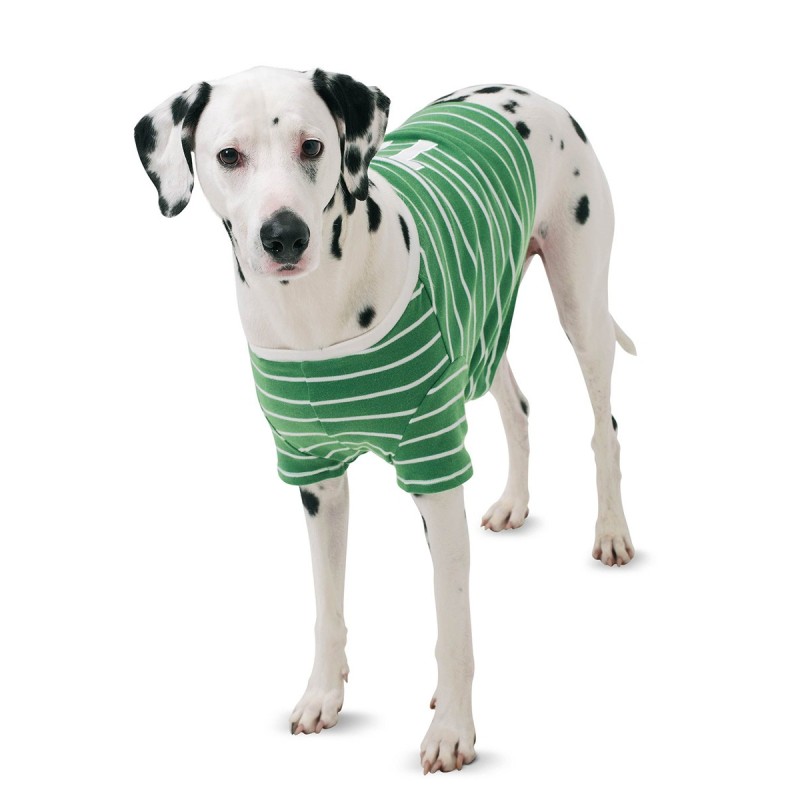 Sporty dog blanket pattern...