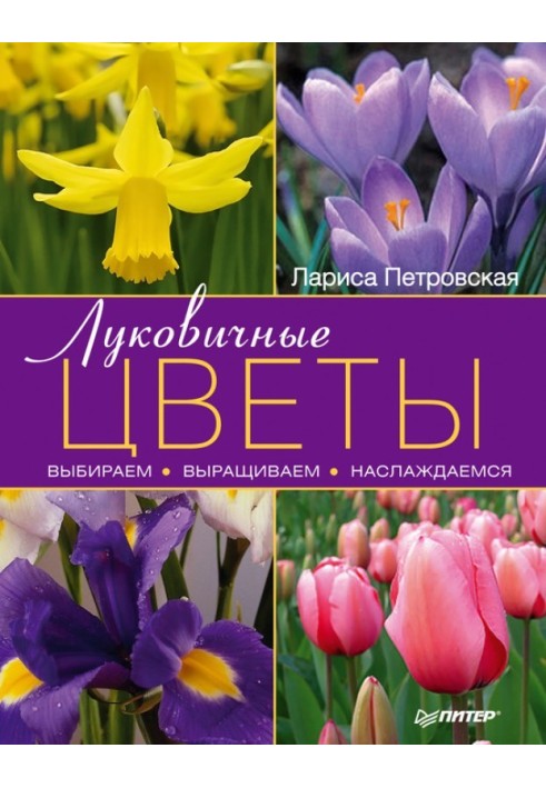 Цибульні квіти: вибираємо, вирощуємо, насолоджуємось