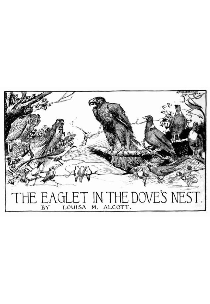 Eagle in a pigeon's nest