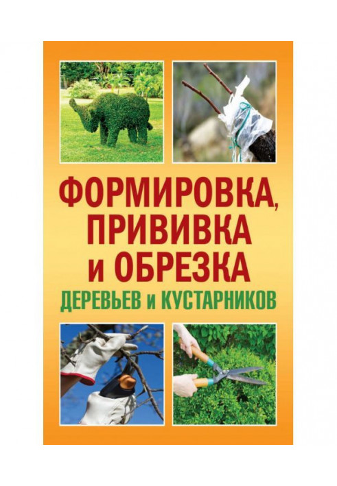 Формування, щеплення і обрізання дерев і кущів