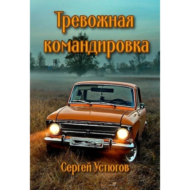 Troubling business trip