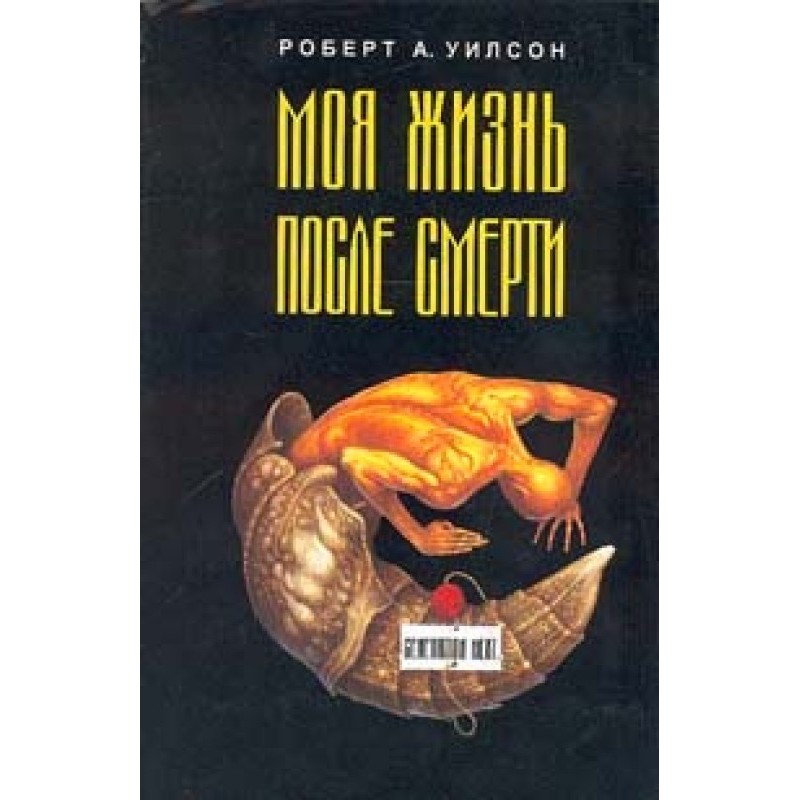 Моя жизнь после смерти