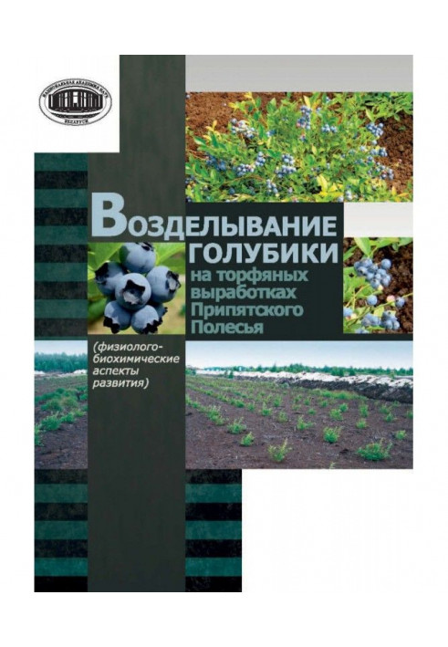 Обробіток голубики на торф'яних виробленнях Прип'ятського Полісся