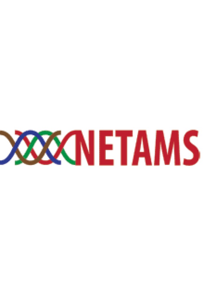 Документація NetAMS