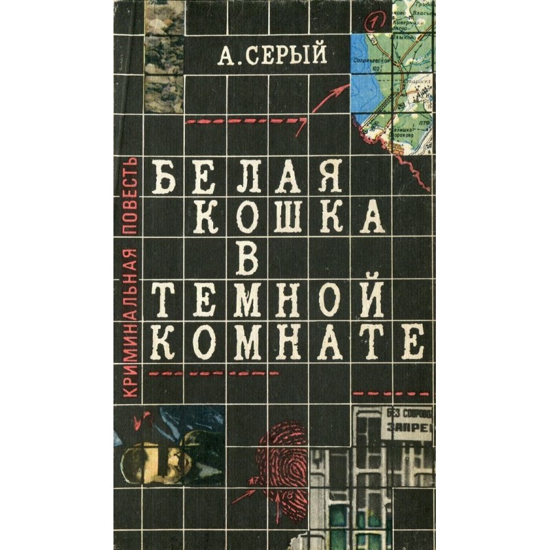 White cat in a dark room