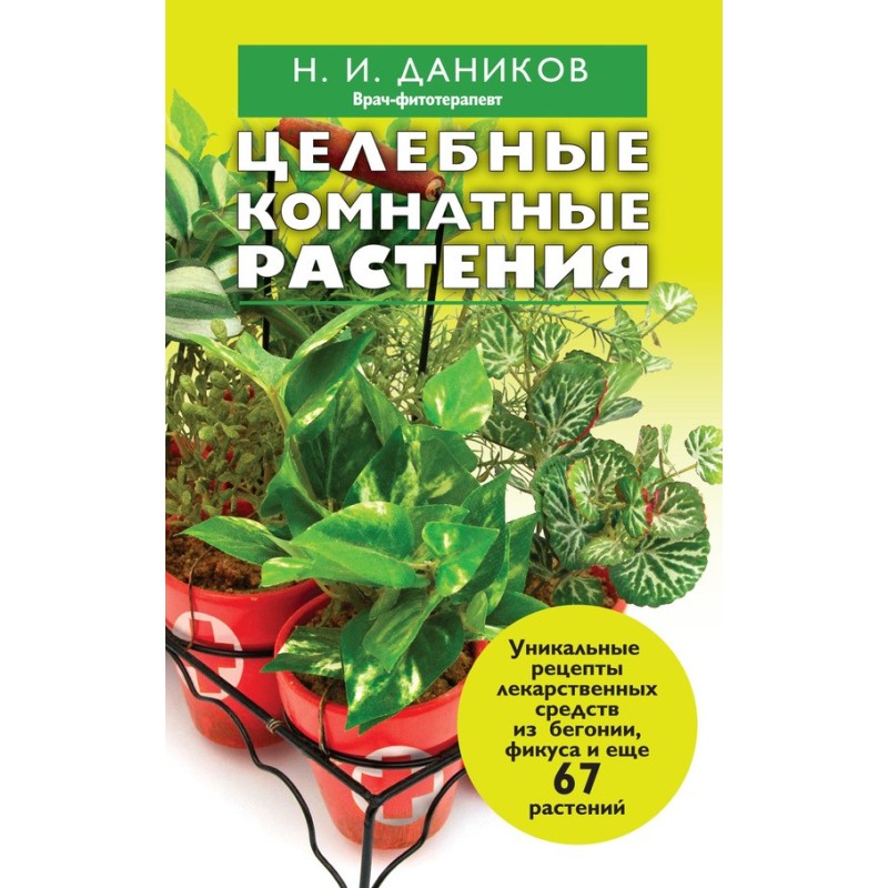 Цілющі кімнатні рослини
