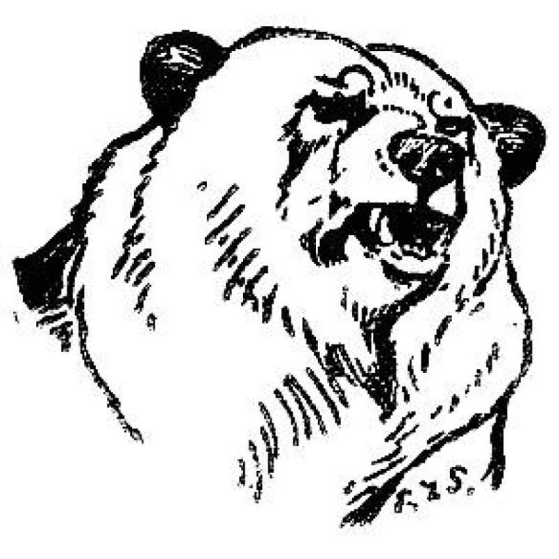 Monarch, the Big Bear of...