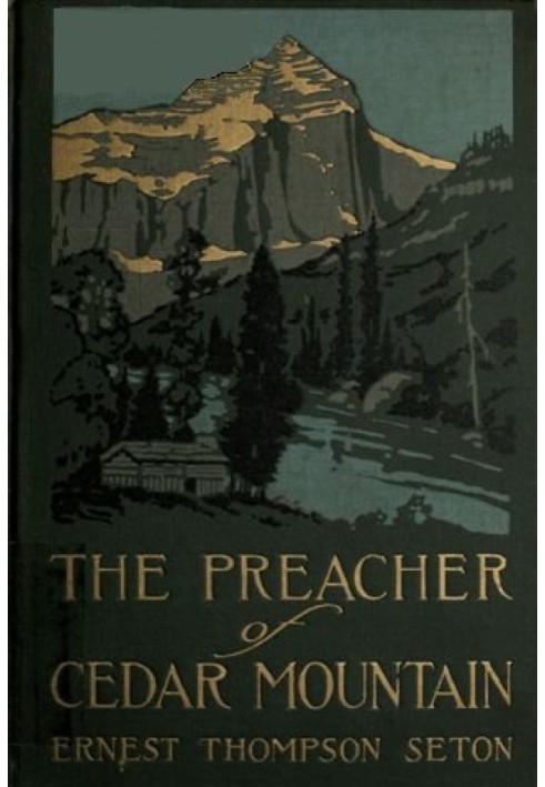 The Preacher of Cedar Mountain