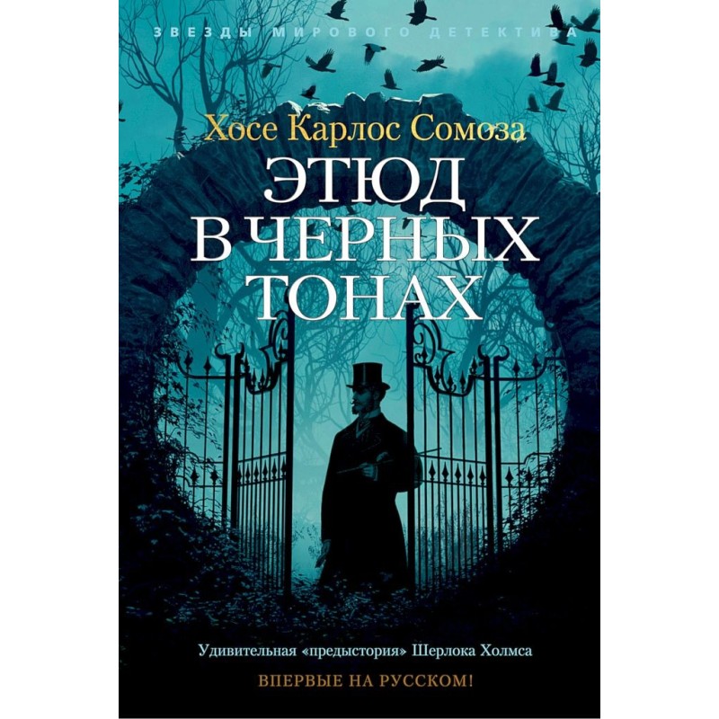 Sketch in black tones