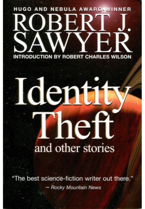 Identity Theft and other stories (collection)