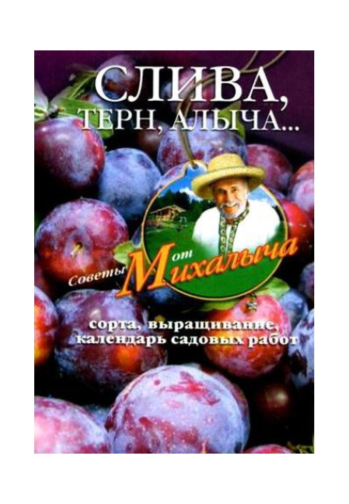 Слива, терн, алича… Сорта, вирощування, календар садових робіт