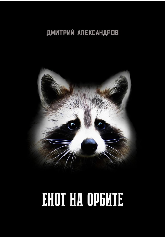 Raccoon in orbit