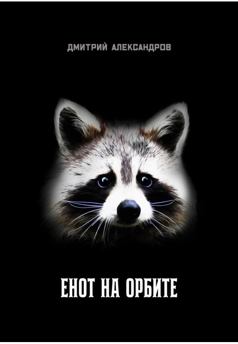 Raccoon in orbit