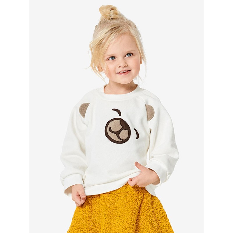 Pattern Raglan pullover...