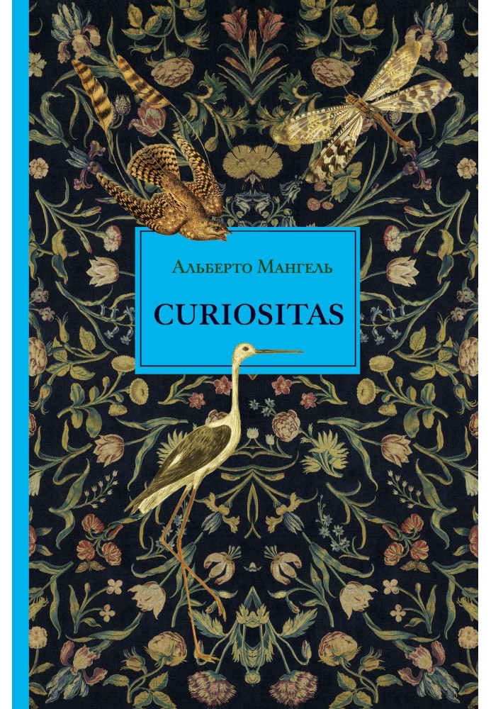 Curiositas. Цікавість