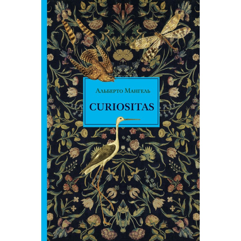 Curiositas. Curiosity