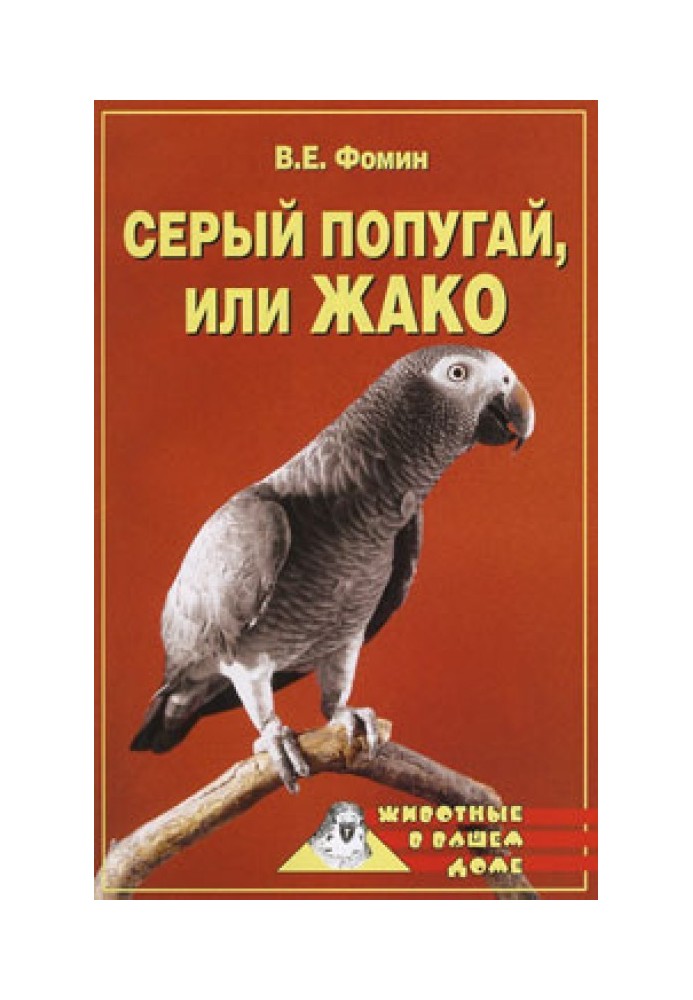 Сірий папуга жако