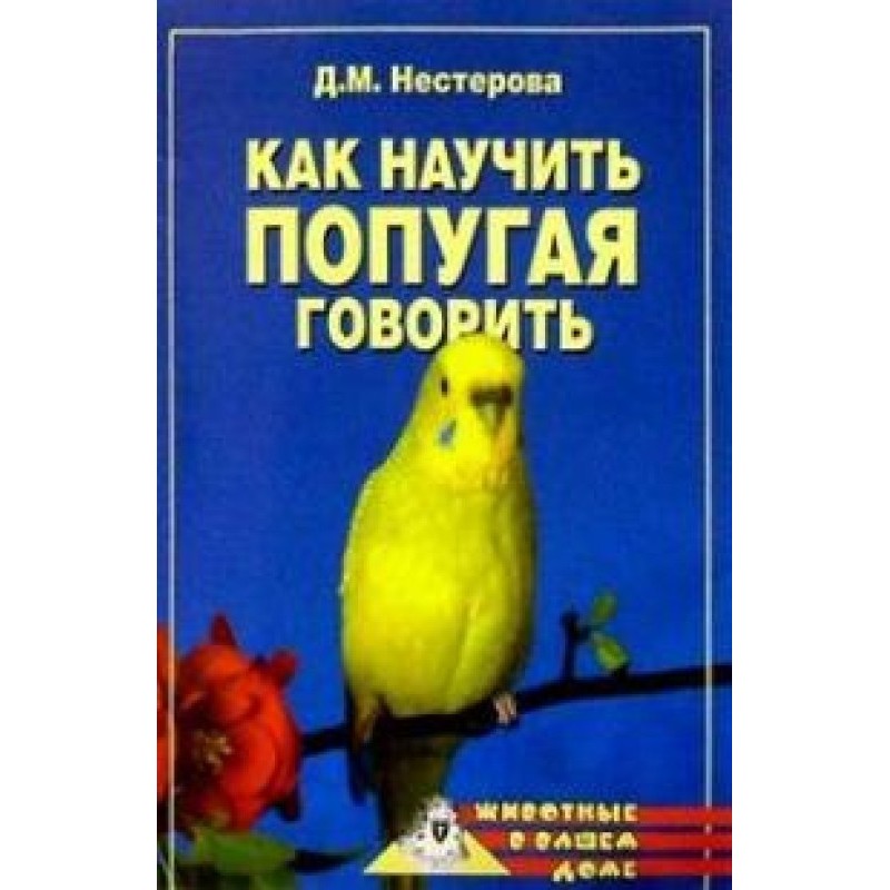 Як навчити папугу говорити