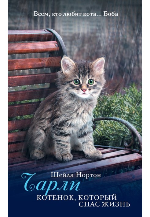 Чарли. Котенок, который спас жизнь