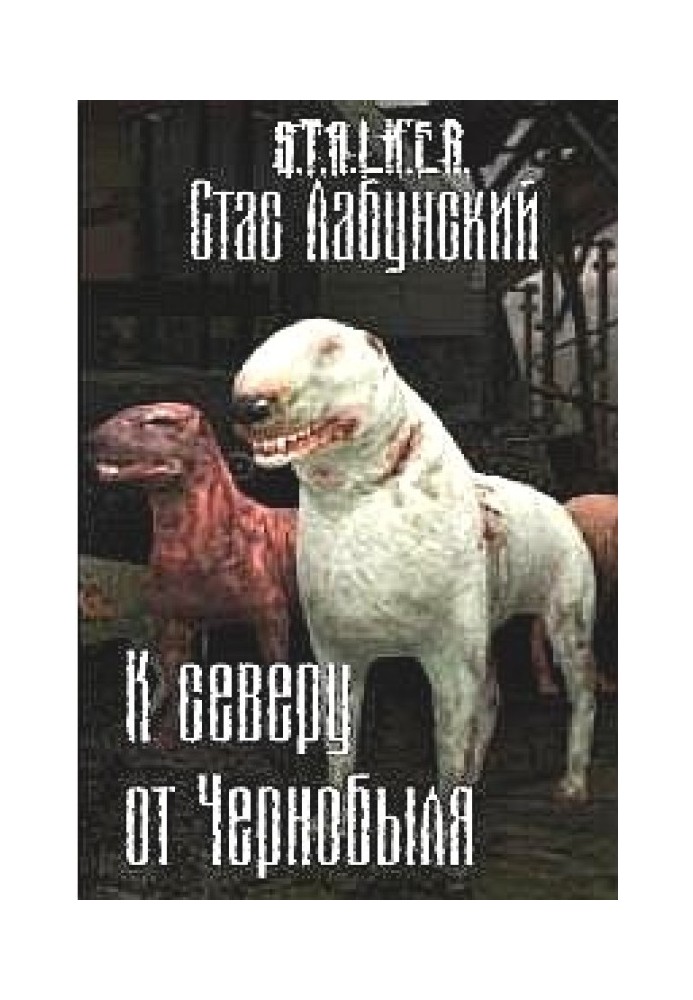 North of Chernobyl