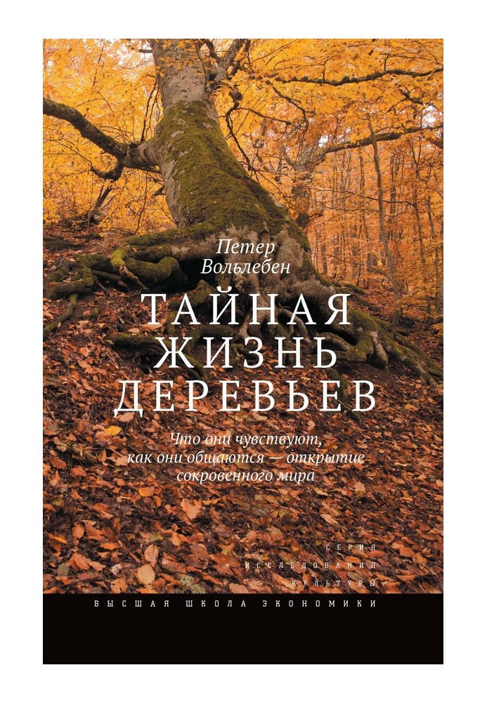 Таємне життя дерев. Що вони відчувають, як вони спілкуються – відкриття таємного світу