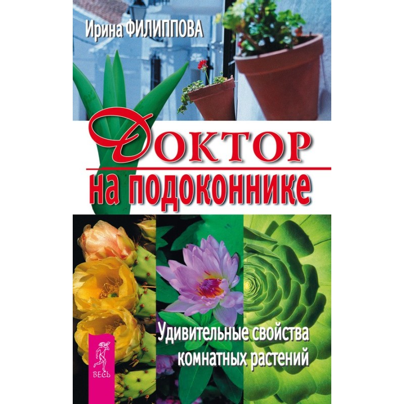 Доктор на подоконнике....