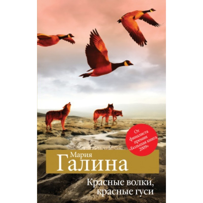 Red wolves, red geese...