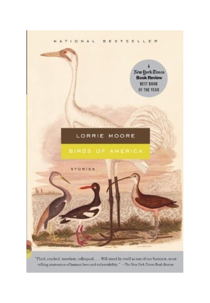 Birds of America