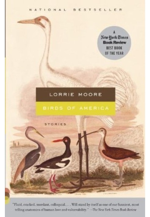 Birds of America