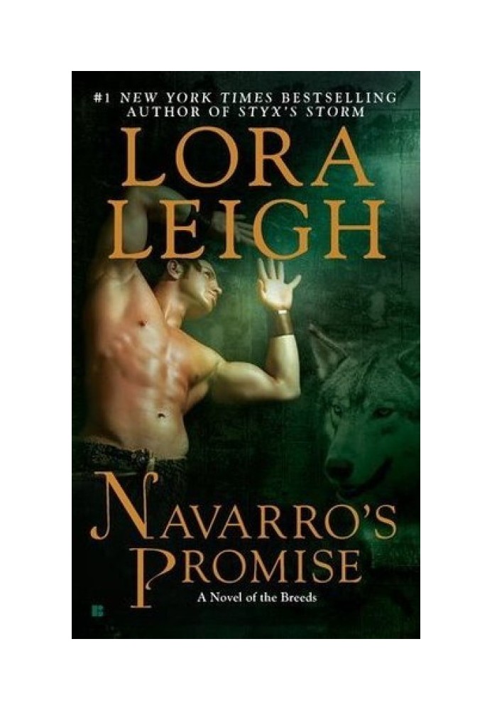 Navarro's Promise