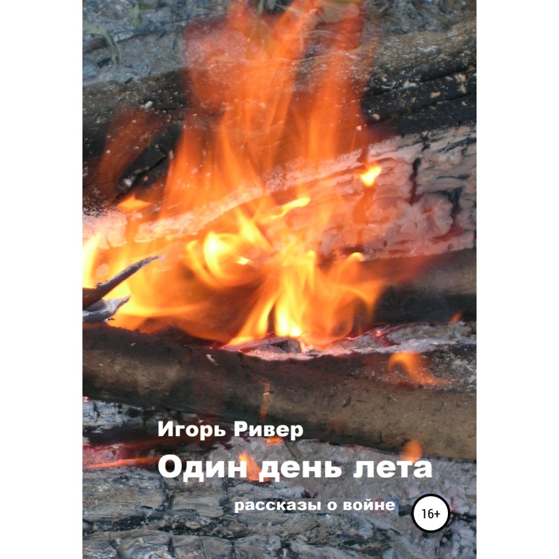 One day of summer. Storybook