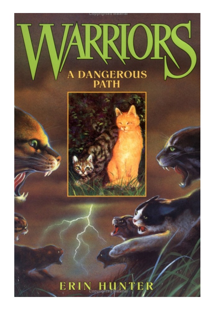 A Dangerous Path