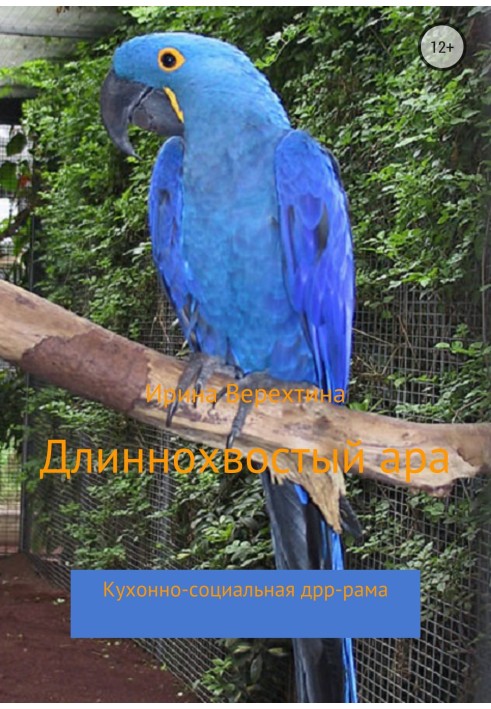 Long-tailed macaw. Kitchen-social drr-rama