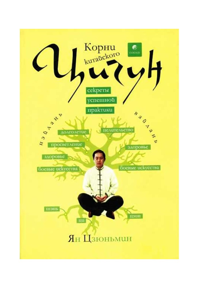 Коріння китайського цігун. Секрети успішної практики