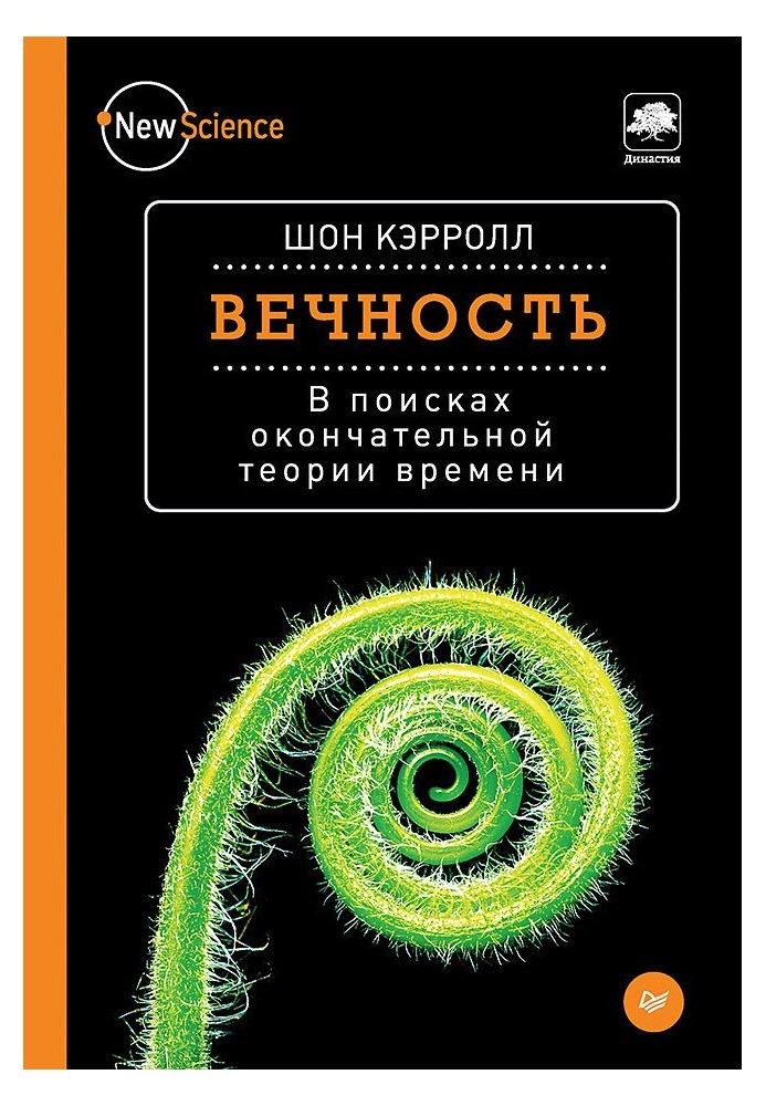 Вічність. У пошуках остаточної теорії часу