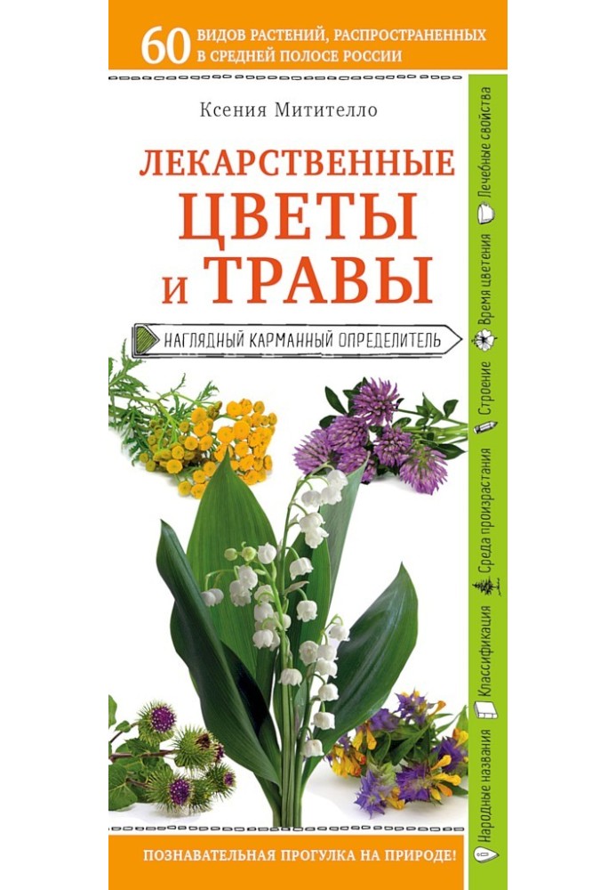 Лікарські квіти та трави. Наочний кишеньковий визначник