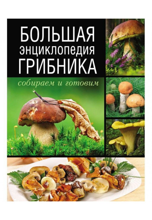 Large encyclopaedia of mushroomer. We collect and prepare