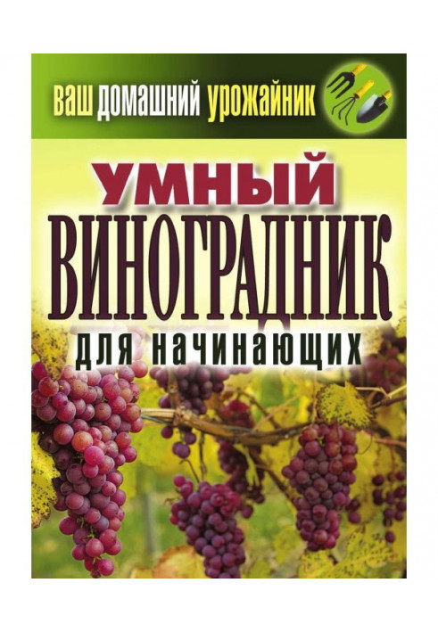 Розумний виноградник для початківців