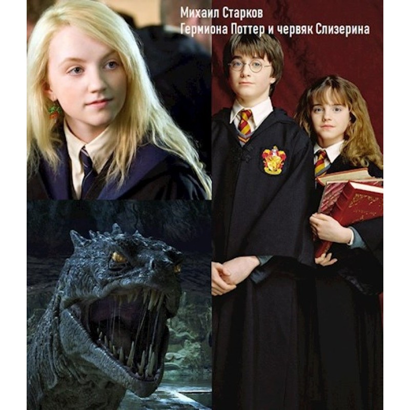 Hermione Potter and the...