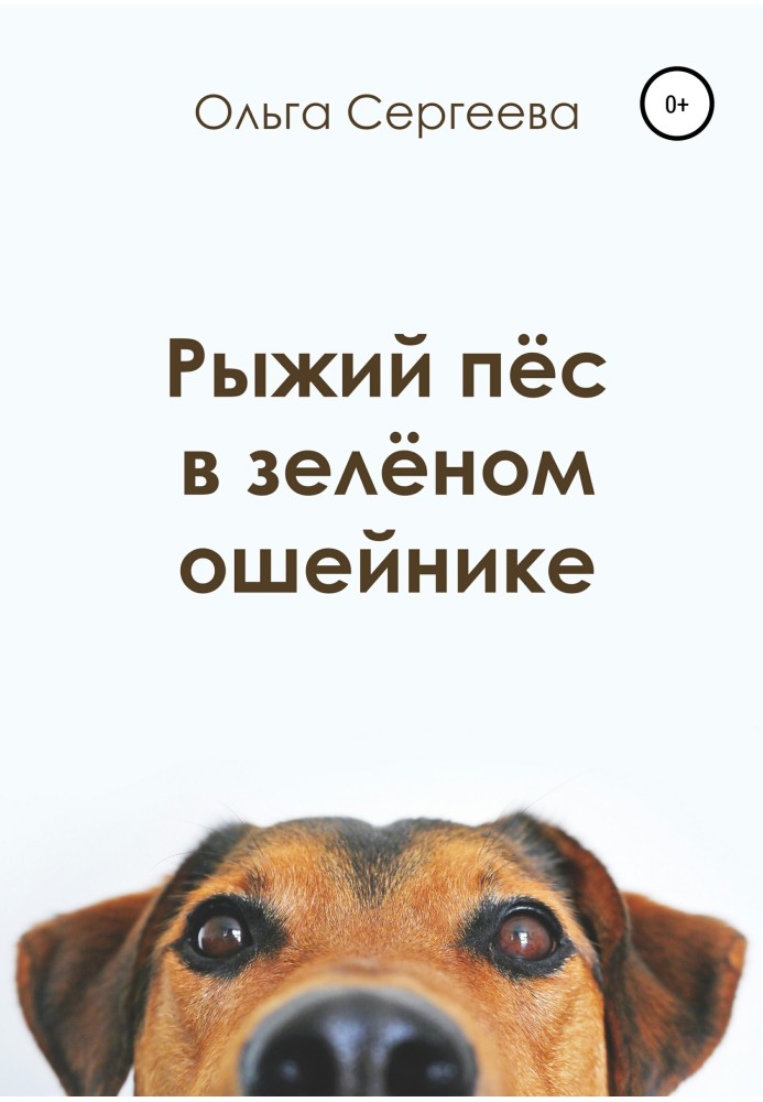 Рудий пес у зеленому нашийнику
