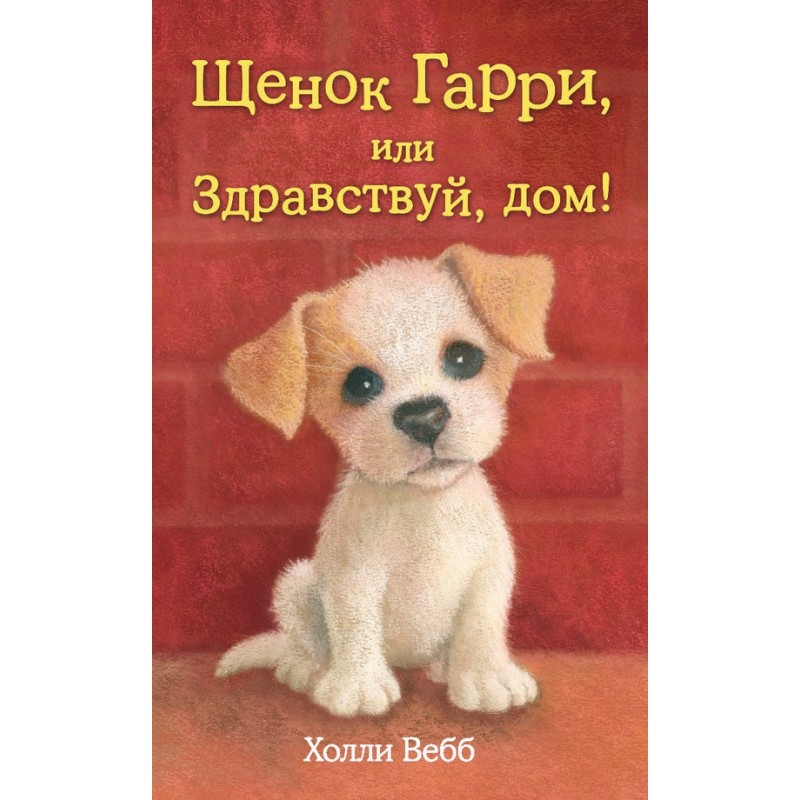 Puppy Harry, or Hello Home!