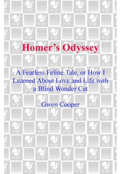 Homer's Odyssey