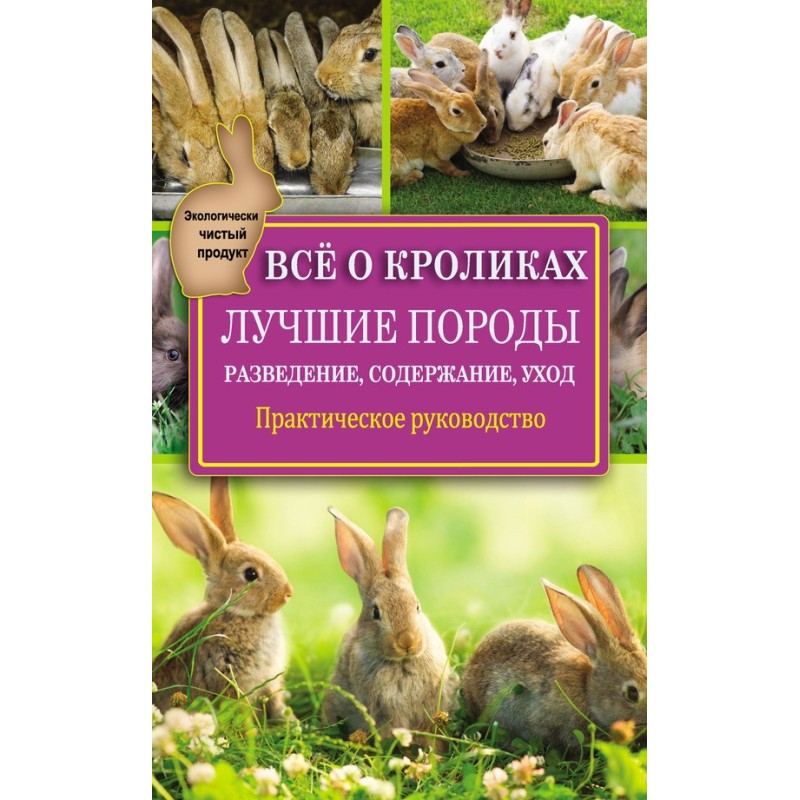 Everything about rabbits:...