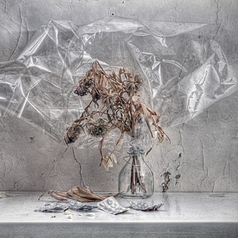 The fly, and what effect it...