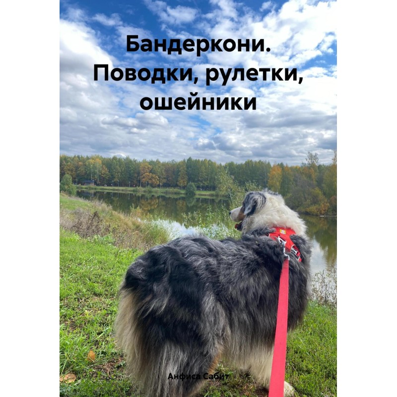 Бандеркони. Поводки,...