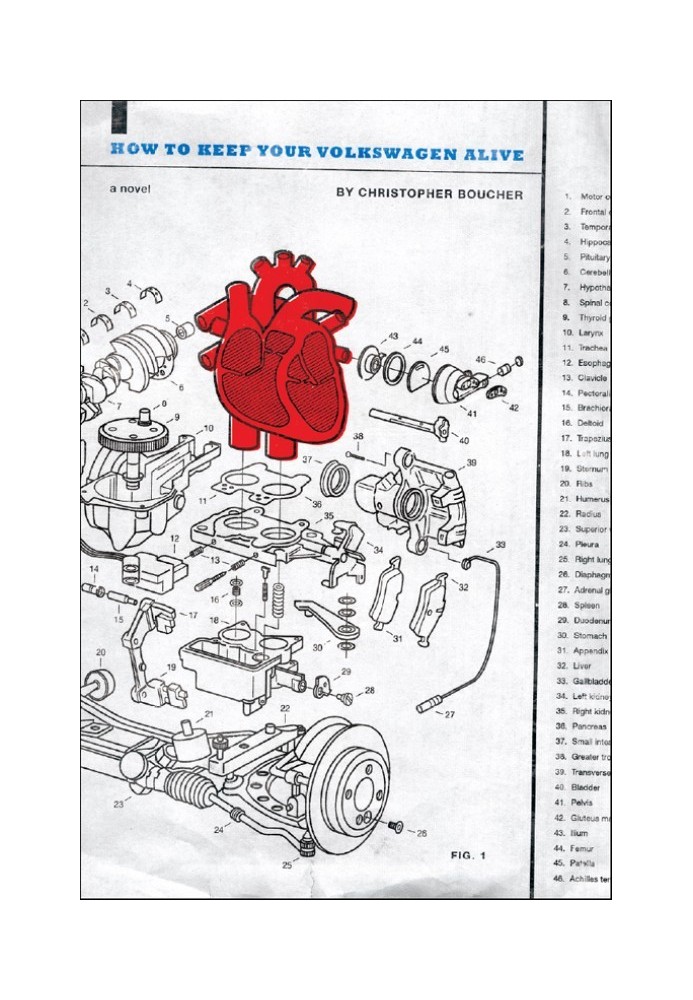 How to Keep Your Volkswagen Alive